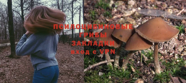 шишки Куйбышев