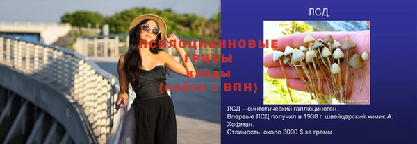 индика Кукмор