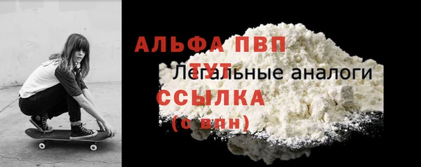 индика Кукмор