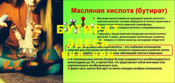 шишки Куйбышев