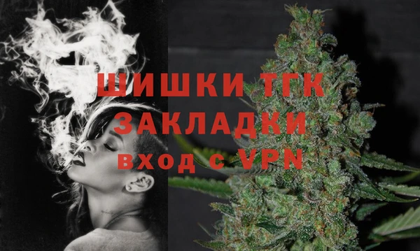 индика Кукмор
