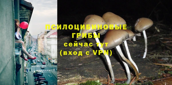 гидропоника Кулебаки