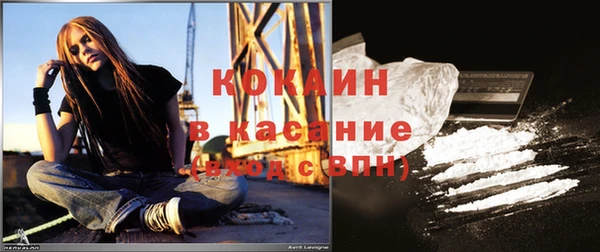 индика Кукмор