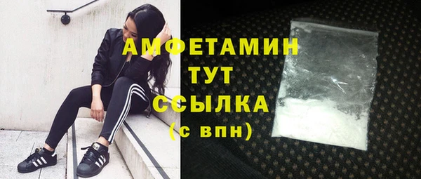 индика Кукмор