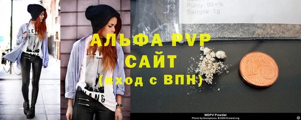 индика Кукмор