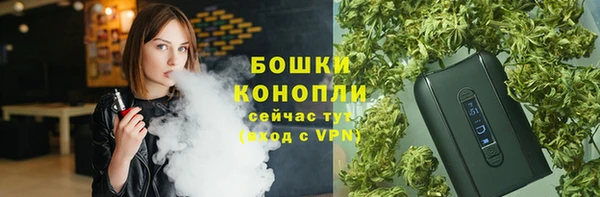 гидропоника Кулебаки