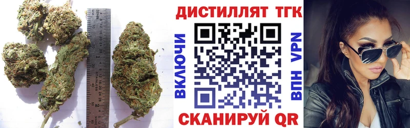 Дистиллят ТГК THC oil  Купить закладки  Новосокольники 